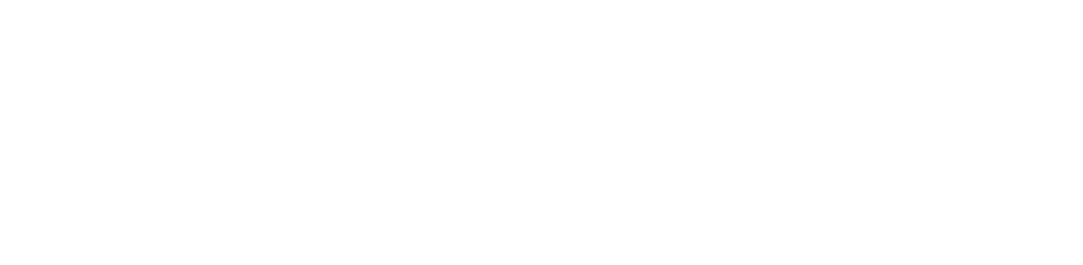 The Coalition